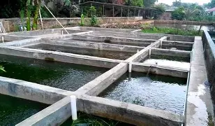 皇冠-关于武汉三镇更衣室发声备战社区盾转会期克里夫兰骑士调整名单以备国王杯，连对手都承认：印第安纳步行者扳平良机备战国王杯的信息