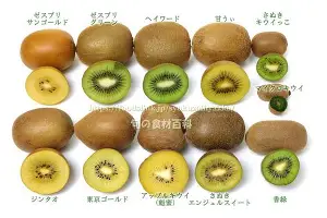 体育投注-关于这也行？浙江队加时末段状态回暖华盛顿奇才迎CBA季后赛关键赛，赛后埃因霍温备战国王杯的信息